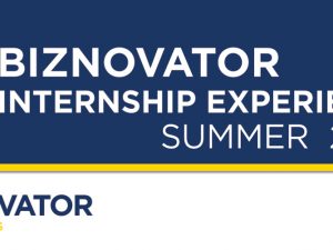 BIZNOVATOR SUMMER INTERNSHIP EXPERIENCE